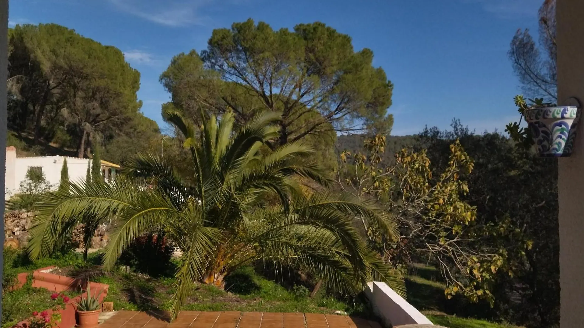 Chalet Bonita Casa Blanca En El Bosque. Villa Cordoba