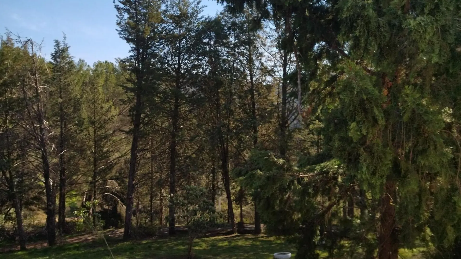 Bonita Casa Blanca En El Bosque. Villa Cordoba 0*,