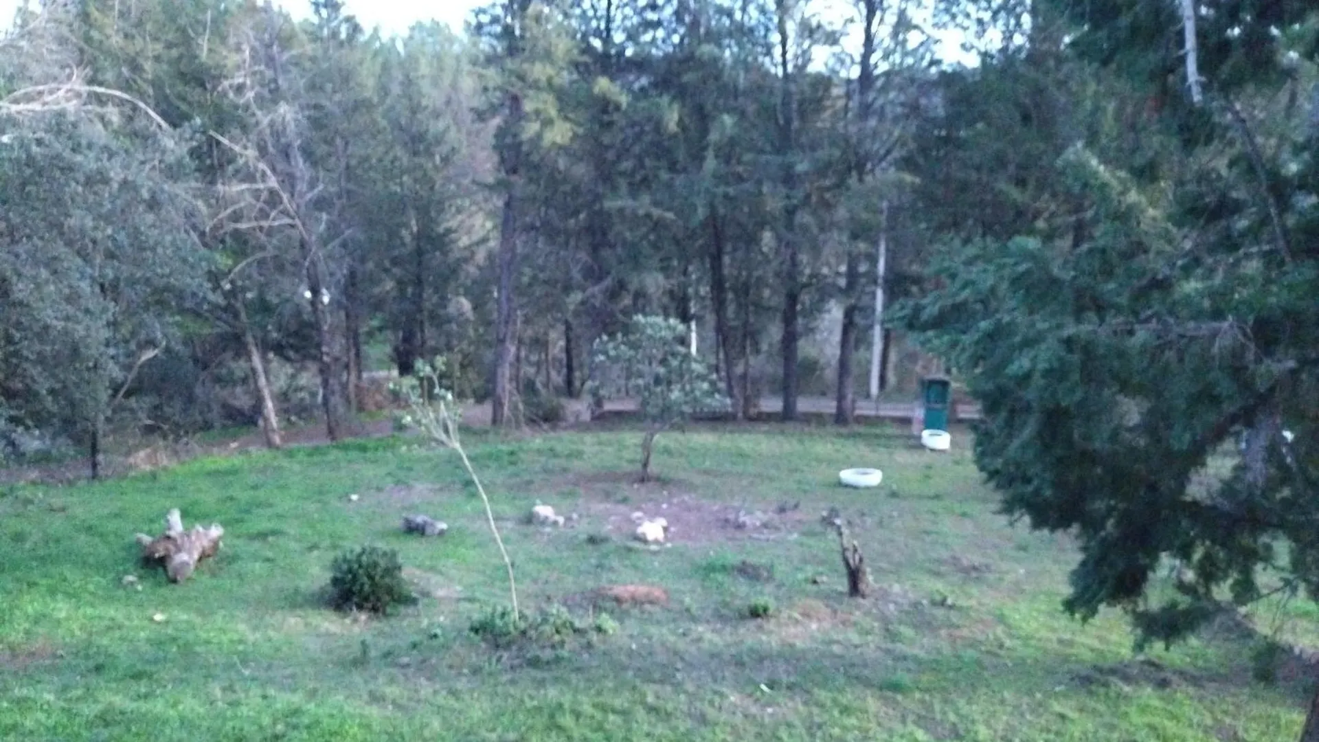 Bonita Casa Blanca En El Bosque. Villa Cordoba Chalet