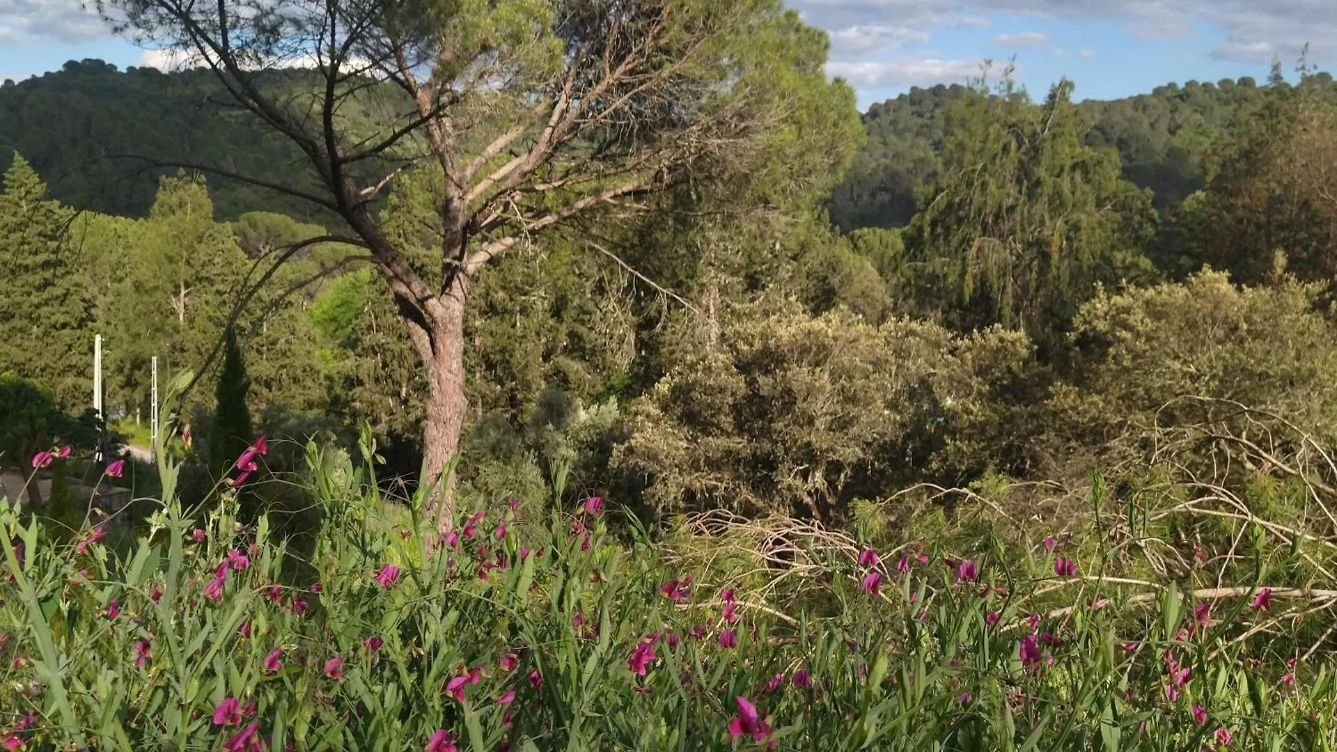 בקתה הוילה קורדובה Bonita Casa Blanca En El Bosque. ספרד